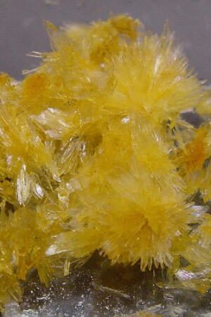 N-Dimethyltryptamine DMT crystals