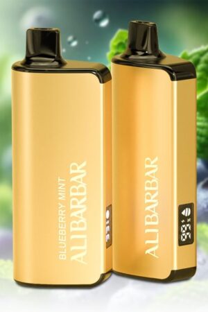 ALIBARBAR INGOT 20000 Puffs Blueberry Mint